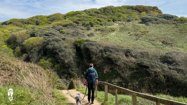 The Wild Path: Opening Doors to Careers in the Outdoor Sector