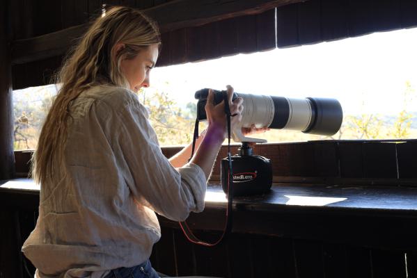 StediLens: Catch the Action